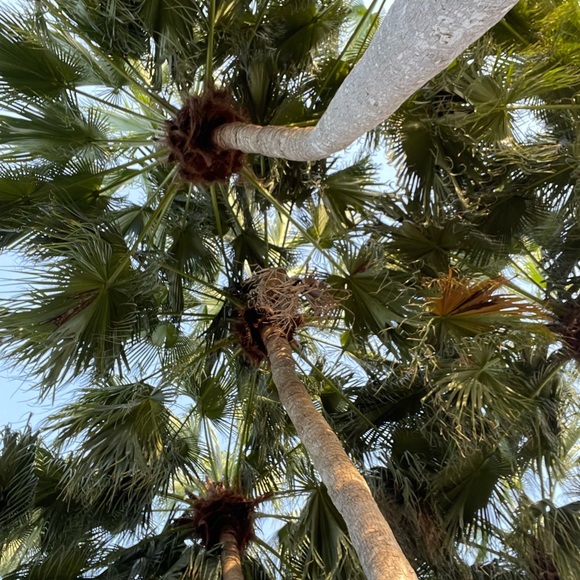 Meet your Posher, Jennifer - Picture 13 of 13